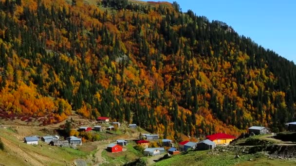 Bosque Pueblo Pequeño Montañas Boscosas — Vídeo de stock