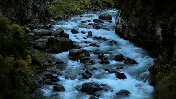 Водоспад Природний Ліс Річка Восени — стокове відео