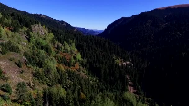 Montanha Floresta Valley Pine Árvores Com Floresta — Vídeo de Stock