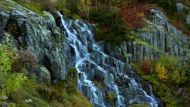 Foresta Naturale Cascata Fiume Autunno — Video Stock