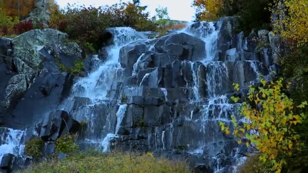 Bekijk Het Herfst Bos Met Rivier — Stockvideo