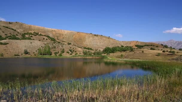 Lago Calma Paisaje Lake Green Lake View — Vídeo de stock