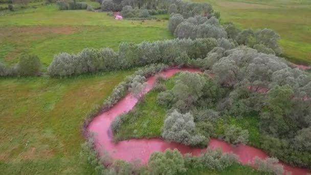 Caudal Agua Del Río Muddy Corriente Agua Sucia — Vídeo de stock