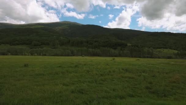 Zelené Údolí Modrou Oblohou Bílými Mraky Pohled Horské Údolí — Stock video