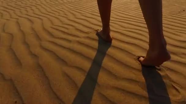 Παραλία Πεζοπορία Εξωτερικούς Χώρους Περπατώντας Προς Θάλασσα — Αρχείο Βίντεο