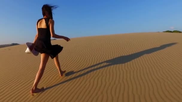 Bella Mujer Caminando Vista Aérea Del Desierto — Vídeos de Stock