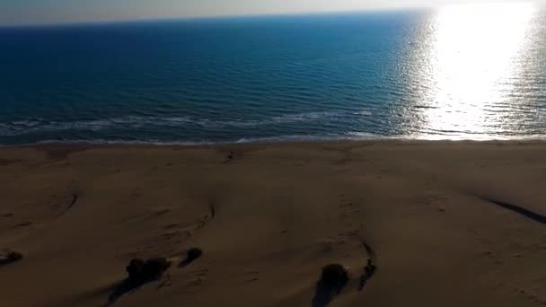 バルト海の海の波と青と緑の水 馬に乗ってビーチに乗る — ストック動画