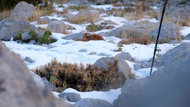 Vedere Tânăr Drumeții Vârful Muntelui Înzăpezit Alpinist Rucsac Care Merge Videoclip de stoc fără drepturi de autor