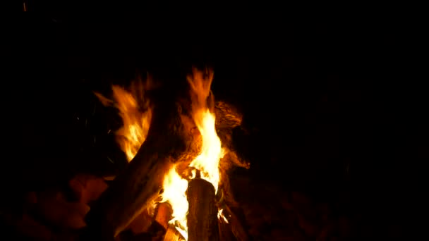 Fuego Ardiendo Chimenea — Vídeos de Stock