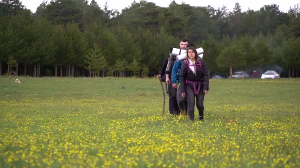 Turiști Activi Prieteni Drumeții Pădure Împreună Lungul Drumului Dintre Copaci Videoclip de stoc