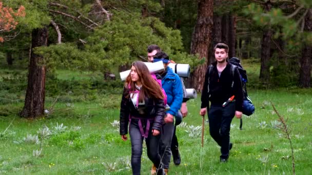 Actieve Toeristen Vrienden Wandelen Het Bos Samen Langs Pad Tussen — Stockvideo