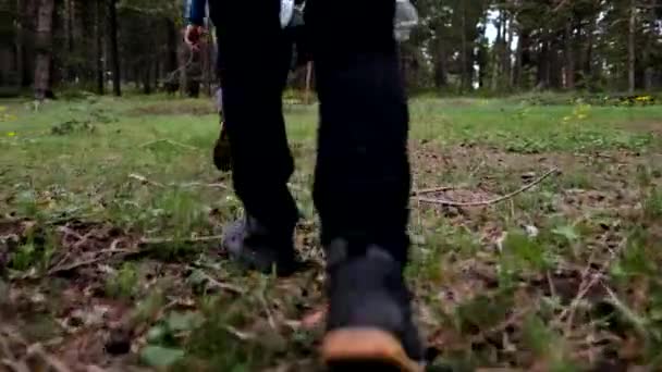 Actieve Toeristen Vrienden Wandelen Het Bos Samen Langs Het Pad — Stockvideo