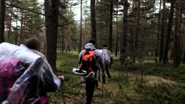 Actieve Toeristen Vrienden Wandelen Het Bos Samen Langs Pad Tussen — Stockvideo