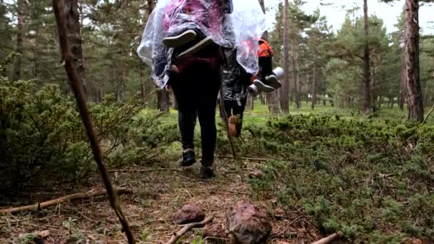 Actieve Toeristen Vrienden Wandelen Het Bos Samen Langs Pad Tussen — Stockvideo