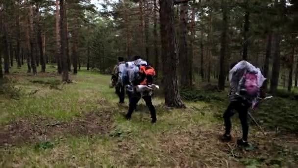 Actieve Toeristen Vrienden Wandelen Het Bos Samen Langs Pad Tussen — Stockvideo