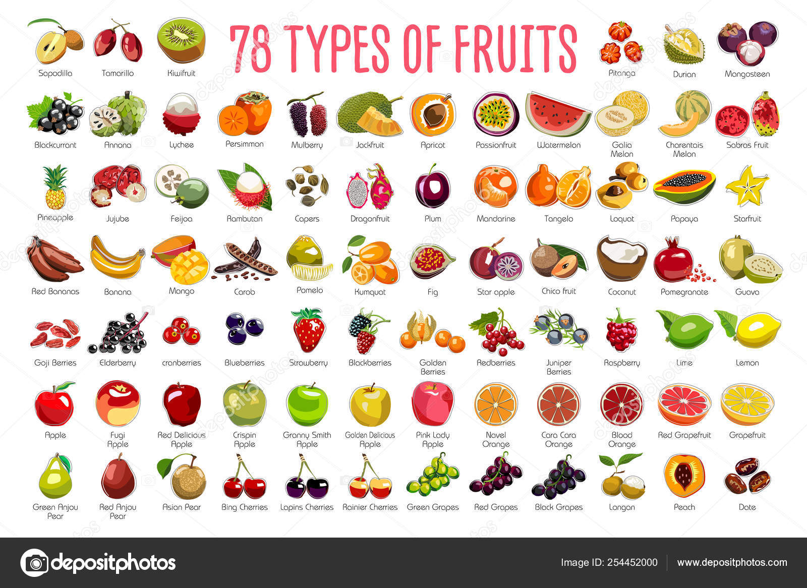 Iconos Frutas Enorme Conjunto Incluye Tipos Frutas Colores Con Nombres