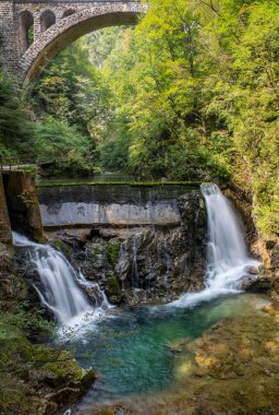Slovenya'da Vintgar geçit şelale, Triglav milli parkı. Güzel doğada ve ormanda saf tatlı su ve köprü yukarıda. 