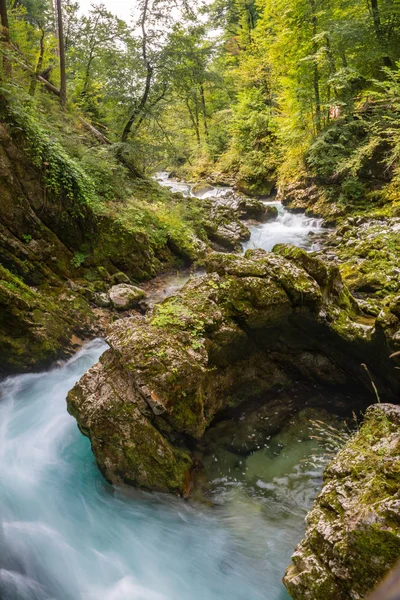 Vintgar Gorge Waterfall Slovenia Triglav National Park Pure Fresh Water — Stock Photo, Image