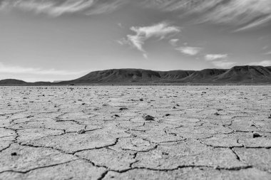 tek renkli kuraklık çöl manzara içinde Güney Afrika savana neden olur 