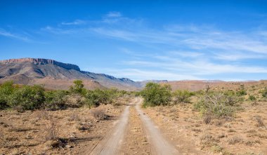 mavi gökyüzü arka plan, Güney Afrika savana ufukta çöl uzanan içinde yer yol