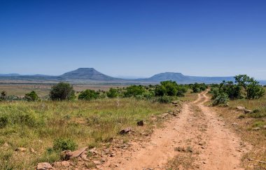 Eastern Cape savana, Güney Afrika çölünde yer yol