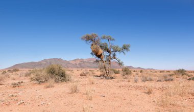 Namibya açık geniş çöl manzara