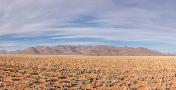 Широкий Ландшафт Пустыни Намибии — стоковое фото