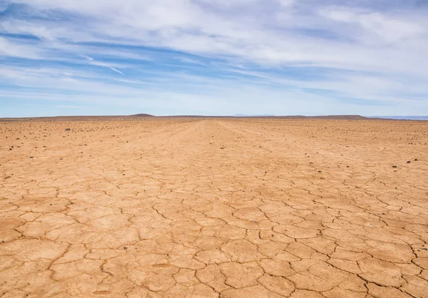 Dürre Verursacht Wüstenlandschaft Südafrikanischer Savanne — Stockfoto