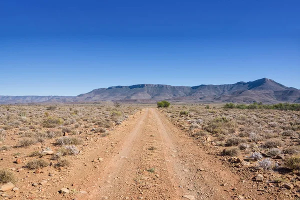 青い空を背景 南部アフリカのサバンナの地平線に砂漠をストレッチで地上道路 — ストック写真