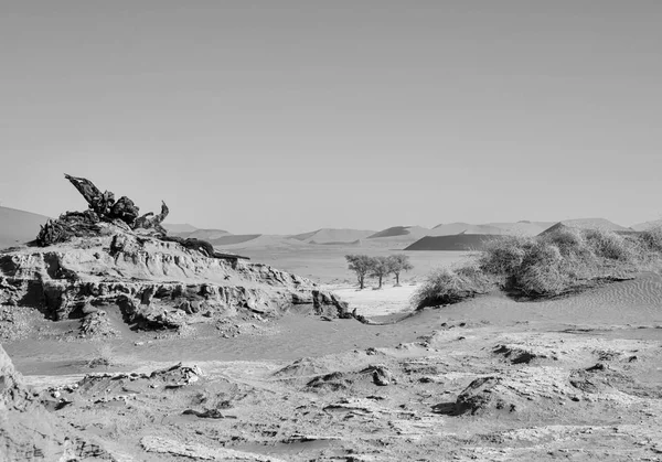 Монохромное Фото Мертвого Верблюжьего Шипа Дедвлей Намибии — стоковое фото