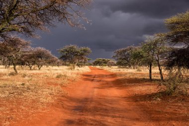 Northern Cape, Güney Afrika'da sürüş sırasında başlayan fırtına