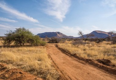 gündüz, Namibya çöl manzarası