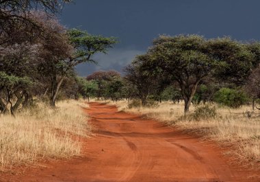 Northern Cape, Güney Afrika'da sürüş sırasında başlayan fırtına