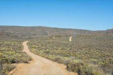 gündüz, Namibya çöl manzarası