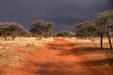 Northern Cape, Güney Afrika'da sürüş sırasında başlayan fırtına