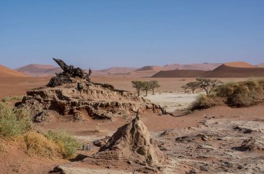 Deadvlei karşı beyaz pan zemin tezat karanlık, ölü deve diken ağaçlar ile karakterize Namibya