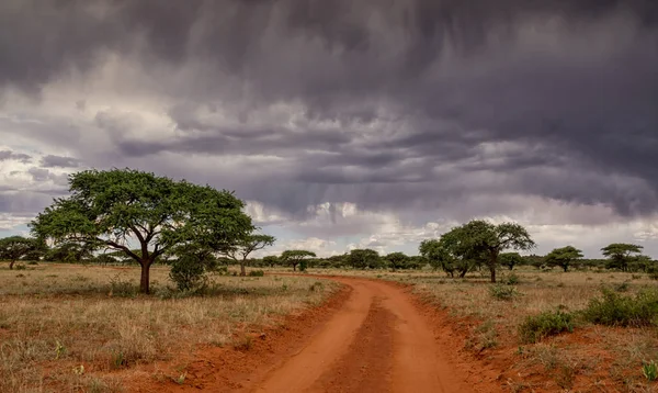 Fırtına bulutları savana Northern Cape, Güney Afrika genelinde haddeleme