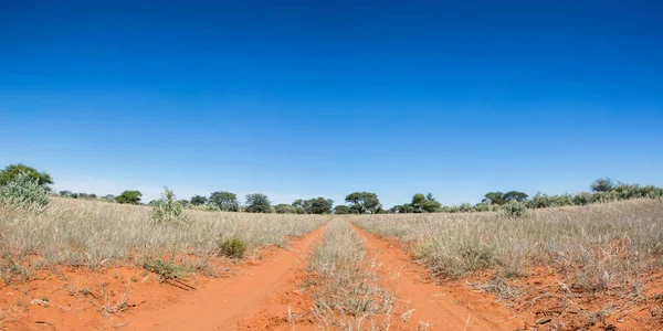 Northern Cape Savannah mesafe içine kapalı kırmızı kirli parça uzanır