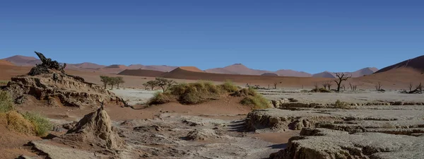 Deadvlei karşı beyaz pan zemin tezat karanlık, ölü deve diken ağaçlar ile karakterize Namibya