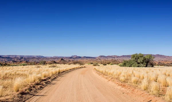 ground road through desert in Northern Cape, South Africa