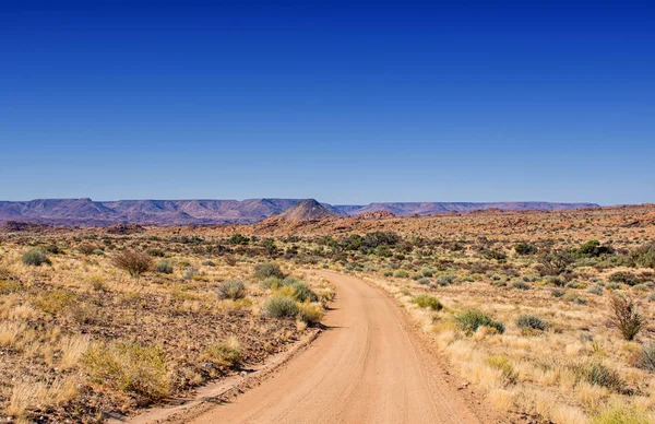 Toprak Yolda Çöl Northern Cape Güney Afrika — Stok fotoğraf