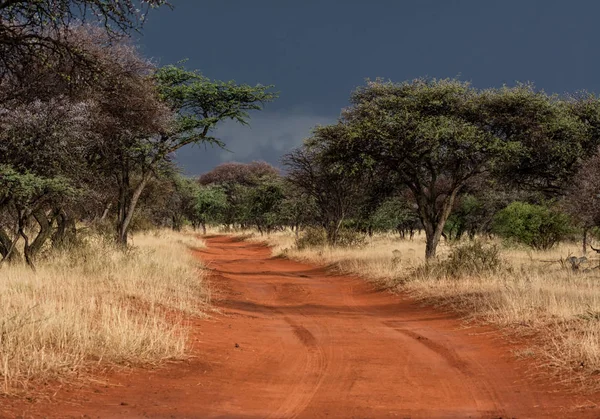 Northern Cape, Güney Afrika'da sürüş sırasında başlayan fırtına