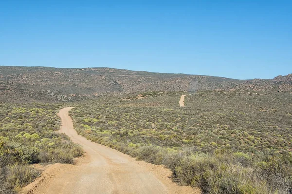 gündüz, Namibya çöl manzarası