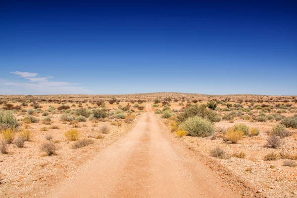 Bir manzara içinde kurak Northern Cape, Güney Afrika