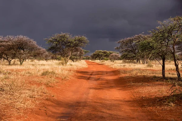 Northern Cape, Güney Afrika'da sürüş sırasında başlayan fırtına