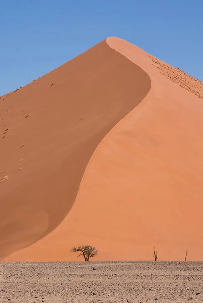 나미비아에서 사막에 — 스톡 사진