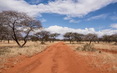 Güney Afrika savana vahşi aracılığıyla germe kırmızı kum parça