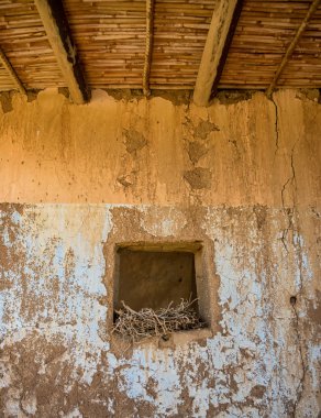 Güney Afrika savana terk edilmiş çiftlik evi terk edilmiş yuvada