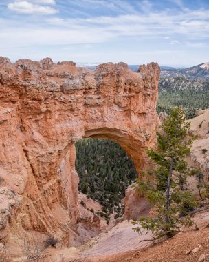 Peyzaj sahne ile taş ark Bryce Milli Parkı, Utah