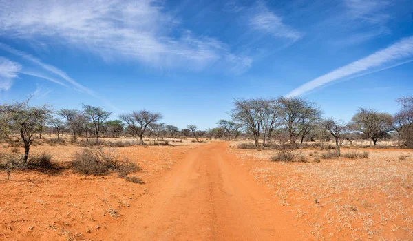 savanna landscape with ground road in Northern Cape, South Africa